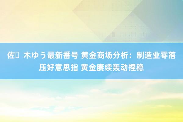 佐々木ゆう最新番号 黄金商场分析：制造业零落压好意思指 黄金赓续轰动捏稳