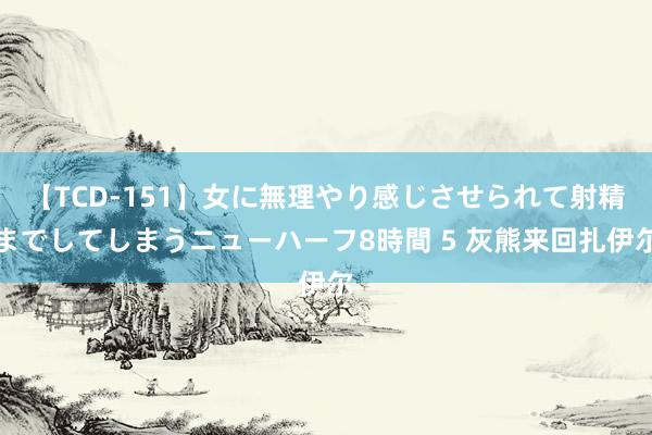 【TCD-151】女に無理やり感じさせられて射精までしてしまうニューハーフ8時間 5 灰熊来回扎伊尔