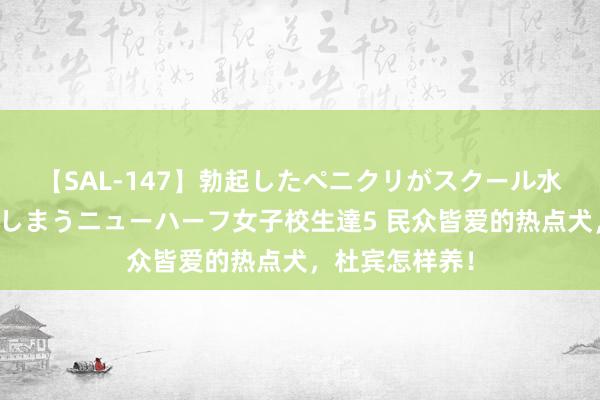 【SAL-147】勃起したペニクリがスクール水着を圧迫してしまうニューハーフ女子校生達5 民众皆爱的热点犬，杜宾怎样养！