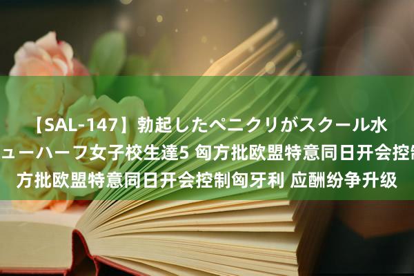 【SAL-147】勃起したペニクリがスクール水着を圧迫してしまうニューハーフ女子校生達5 匈方批欧盟特意同日开会控制匈牙利 应酬纷争升级