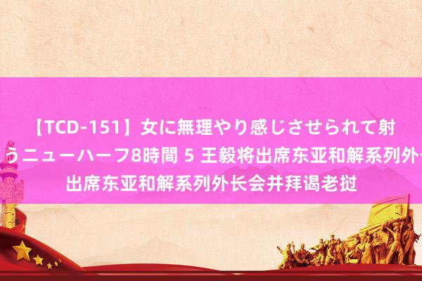 【TCD-151】女に無理やり感じさせられて射精までしてしまうニューハーフ8時間 5 王毅将出席东亚和解系列外长会并拜谒老挝