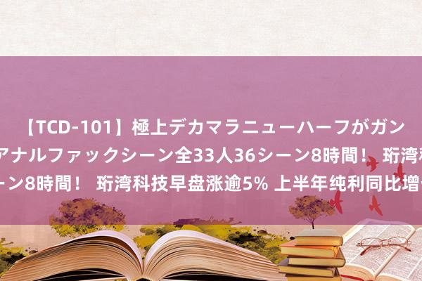 【TCD-101】極上デカマラニューハーフがガン掘り前立腺直撃快感逆アナルファックシーン全33人36シーン8時間！ 珩湾科技早盘涨逾5% 上半年纯利同比增长55%