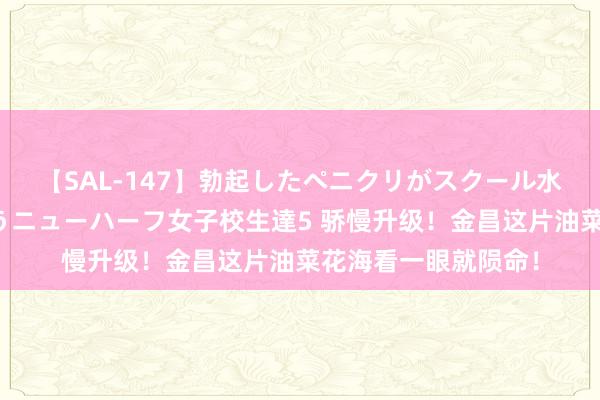 【SAL-147】勃起したペニクリがスクール水着を圧迫してしまうニューハーフ女子校生達5 骄慢升级！金昌这片油菜花海看一眼就陨命！