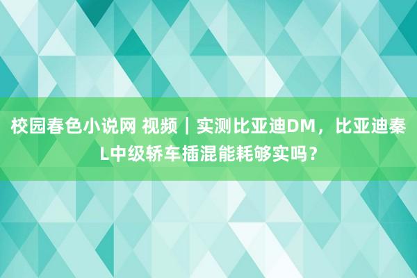 校园春色小说网 视频｜实测比亚迪DM，比亚迪秦L中级轿车插混能耗够实吗？