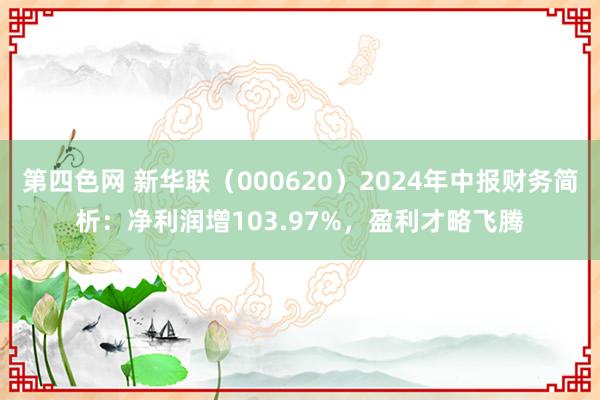 第四色网 新华联（000620）2024年中报财务简析：净利润增103.97%，盈利才略飞腾