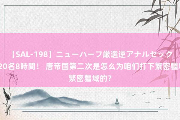 【SAL-198】ニューハーフ厳選逆アナルセックス全20名8時間！ 唐帝国第二次是怎么为咱们打下繁密疆域的？