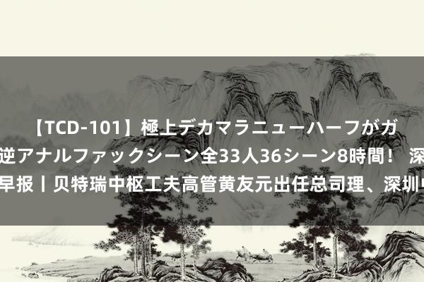 【TCD-101】極上デカマラニューハーフがガン掘り前立腺直撃快感逆アナルファックシーン全33人36シーン8時間！ 深公司早报丨贝特瑞中枢工夫高管黄友元出任总司理、深圳中院决定对ST中装进行预重整