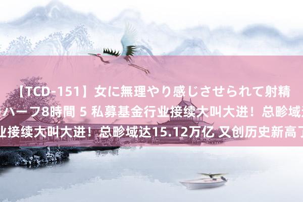 【TCD-151】女に無理やり感じさせられて射精までしてしまうニューハーフ8時間 5 私募基金行业接续大叫大进！总畛域达15.12万亿 又创历史新高了