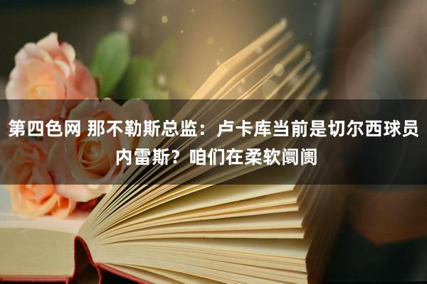 第四色网 那不勒斯总监：卢卡库当前是切尔西球员 内雷斯？咱们在柔软阛阓