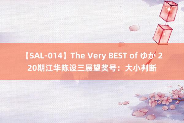 【SAL-014】The Very BEST of ゆか 220期江华陈设三展望奖号：大小判断