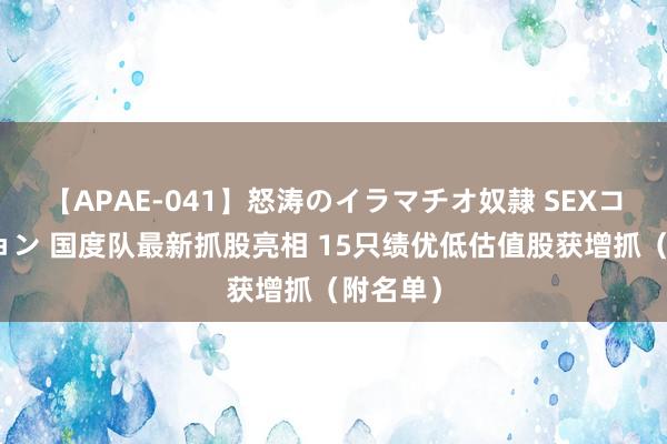 【APAE-041】怒涛のイラマチオ奴隷 SEXコレクション 国度队最新抓股亮相 15只绩优低估值股获增抓（附名单）