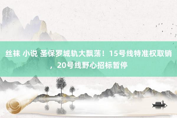 丝袜 小说 圣保罗城轨大飘荡！15号线特准权取销，20号线野心招标暂停