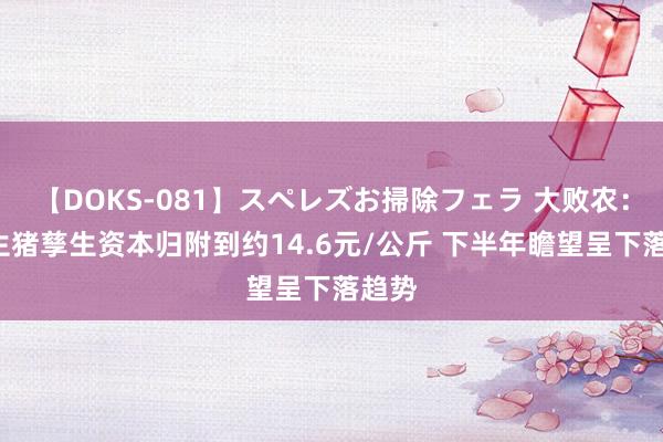 【DOKS-081】スペレズお掃除フェラ 大败农：7月生猪孳生资本归附到约14.6元/公斤 下半年瞻望呈下落趋势