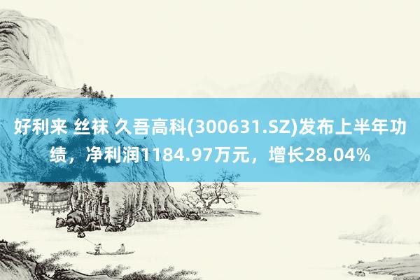 好利来 丝袜 久吾高科(300631.SZ)发布上半年功绩，净利润1184.97万元，增长28.04%