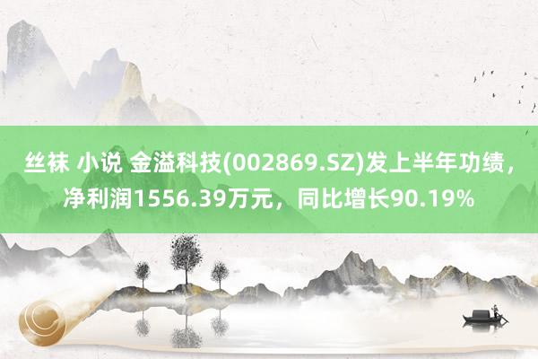 丝袜 小说 金溢科技(002869.SZ)发上半年功绩，净利润1556.39万元，同比增长90.19%