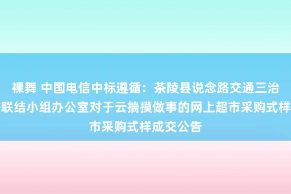 裸舞 中国电信中标遵循：茶陵县说念路交通三治三保责任联结小组办公室对于云揣摸做事的网上超市采购式样成交公告