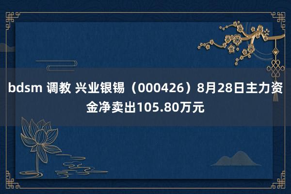 bdsm 调教 兴业银锡（000426）8月28日主力资金净卖出105.80万元