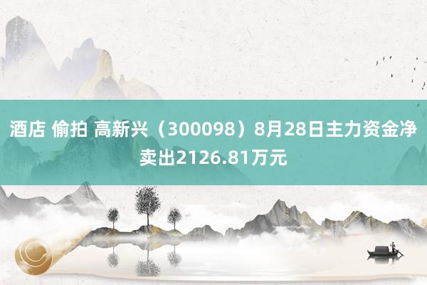 酒店 偷拍 高新兴（300098）8月28日主力资金净卖出2126.81万元