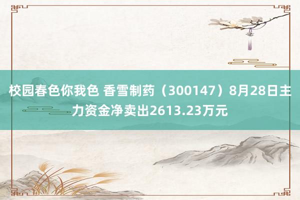 校园春色你我色 香雪制药（300147）8月28日主力资金净卖出2613.23万元