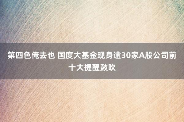 第四色俺去也 国度大基金现身逾30家A股公司前十大提醒鼓吹