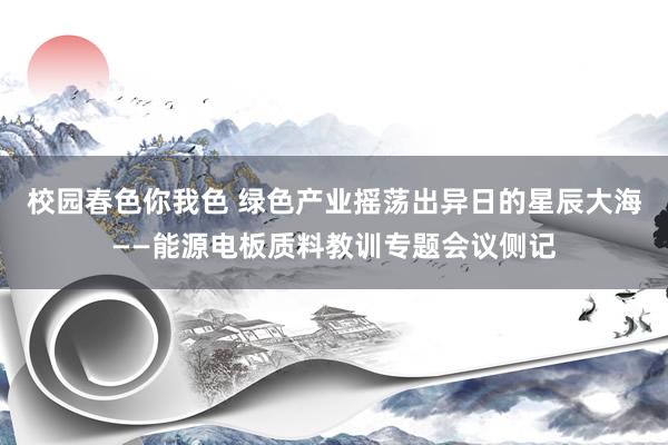 校园春色你我色 绿色产业摇荡出异日的星辰大海——能源电板质料教训专题会议侧记