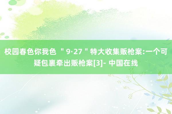 校园春色你我色 ＂9·27＂特大收集贩枪案:一个可疑包裹牵出贩枪案[3]- 中国在线