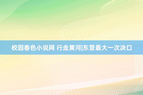 校园春色小说网 行走黄河|东营最大一次决口