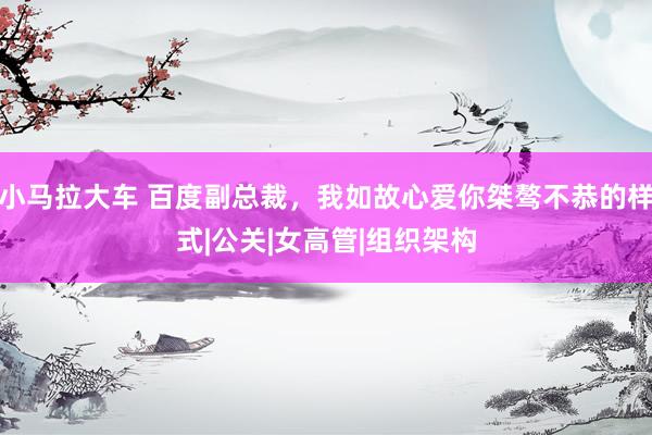 小马拉大车 百度副总裁，我如故心爱你桀骜不恭的样式|公关|女高管|组织架构