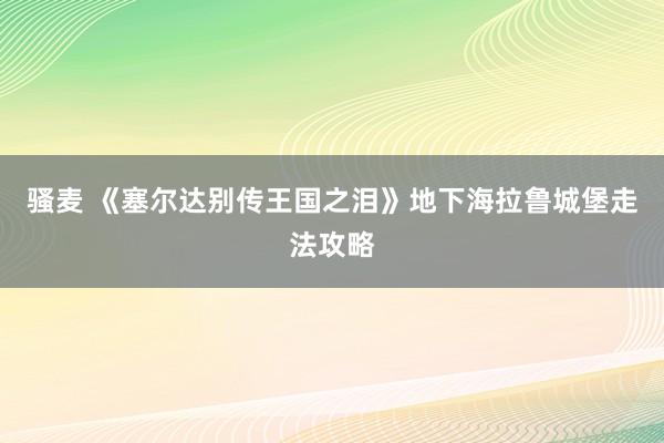 骚麦 《塞尔达别传王国之泪》地下海拉鲁城堡走法攻略