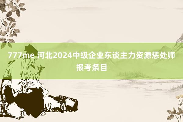 777me 河北2024中级企业东谈主力资源惩处师报考条目