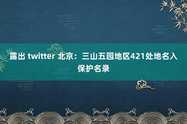 露出 twitter 北京：三山五园地区421处地名入保护名录